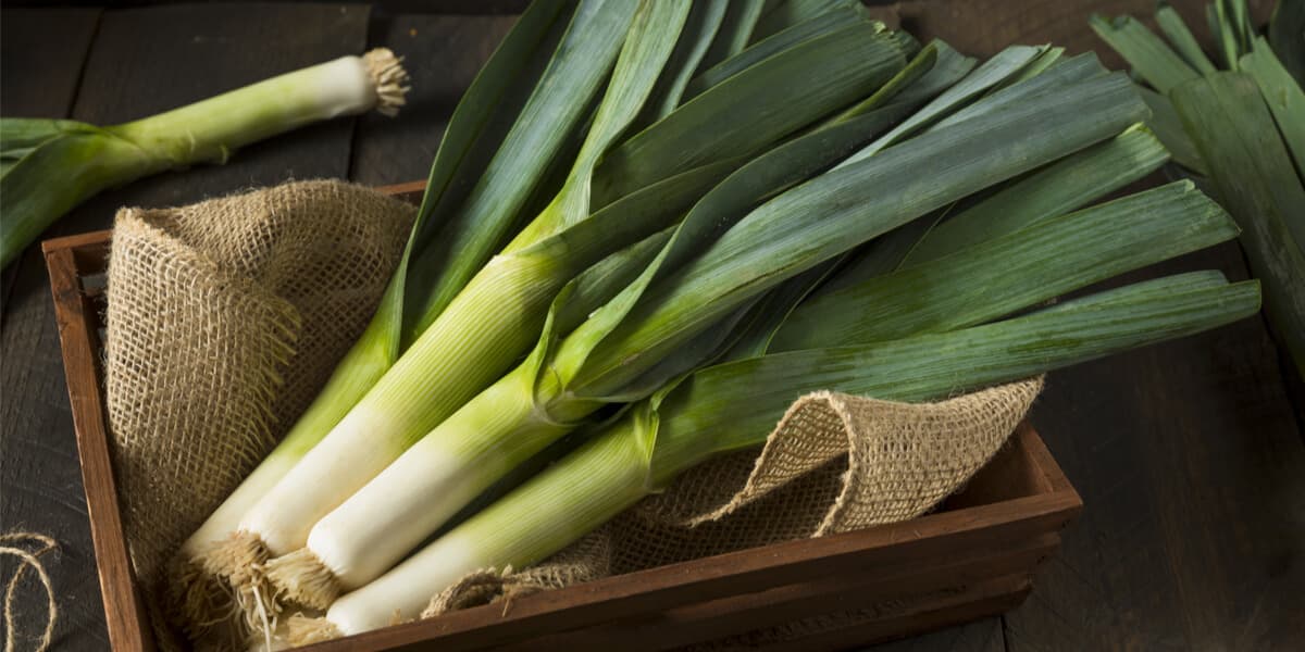 how-to-cut-leeks-1