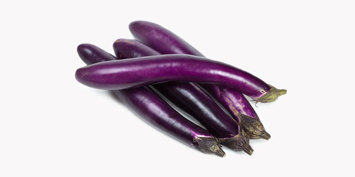 Japanese Eggplant