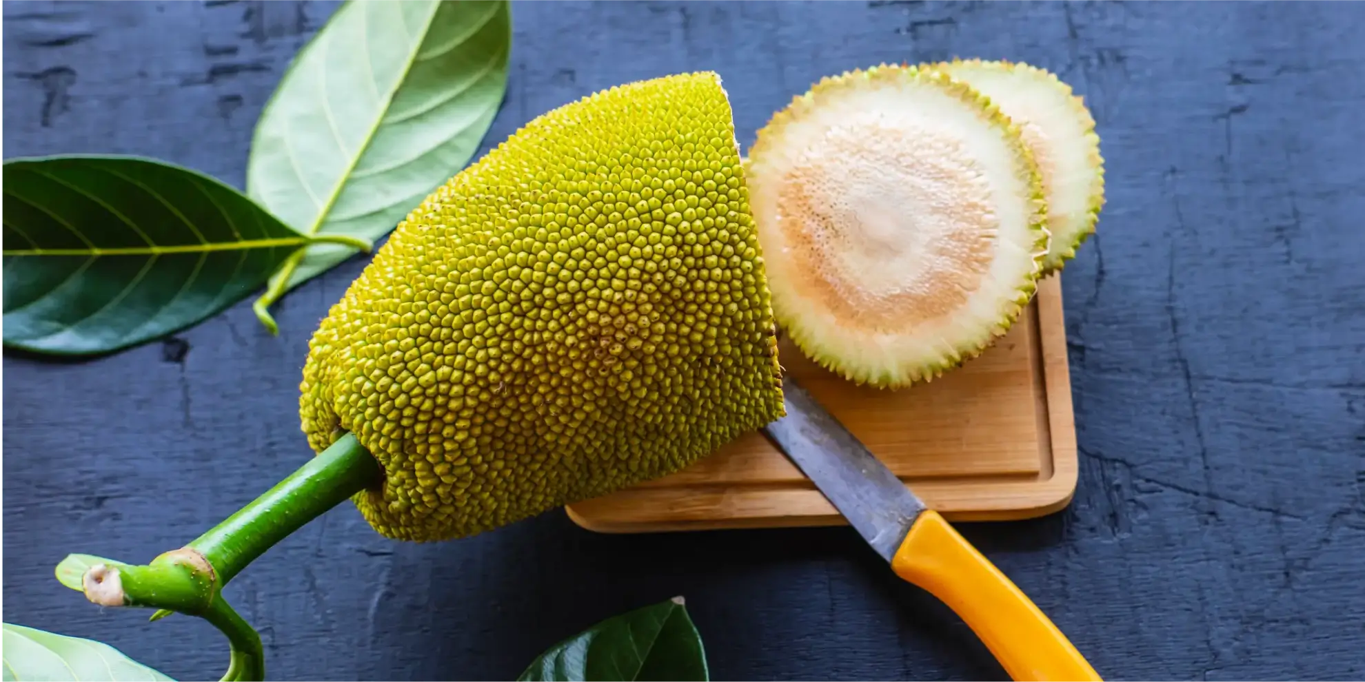 jackfruit-vs-durian-hero
