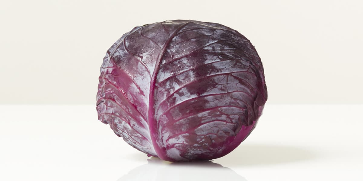Purple Cabbage
