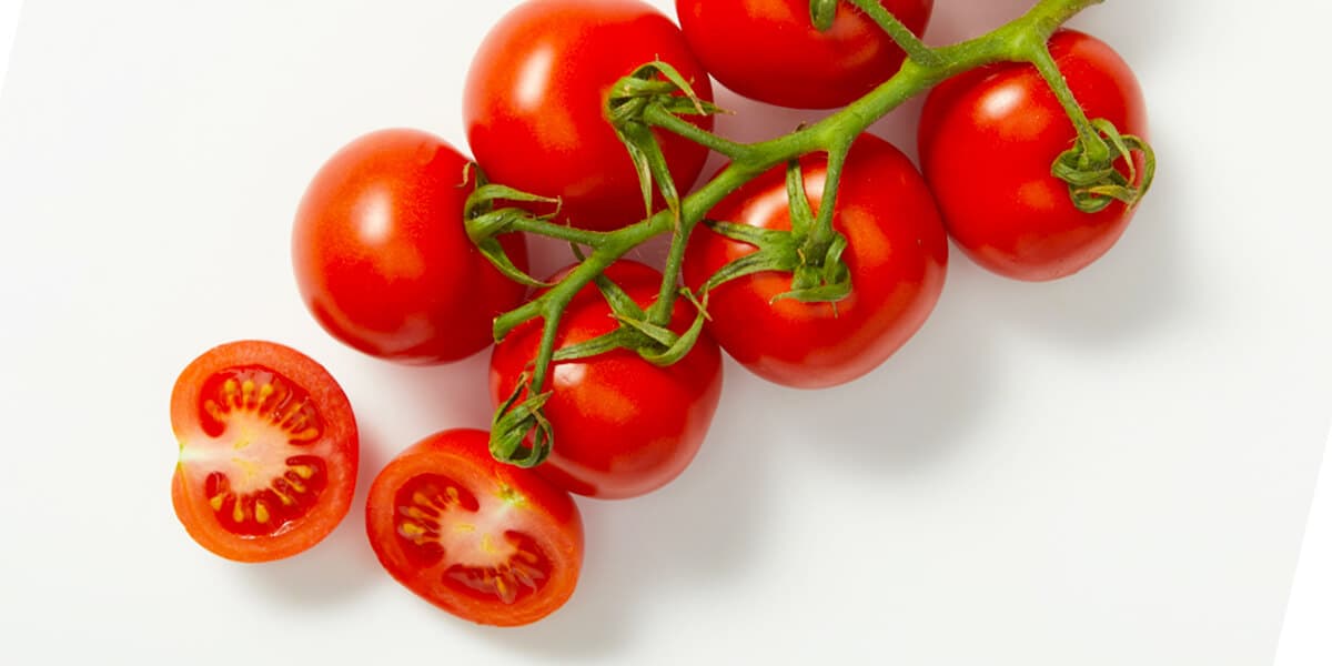 Campari Tomatoes