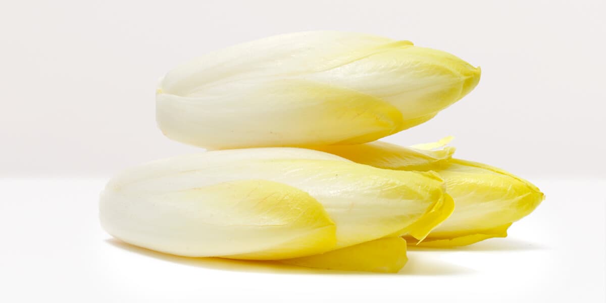 Endive